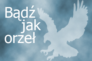 kchweradzyn.pl/php7/images/news/orzelm.jpg