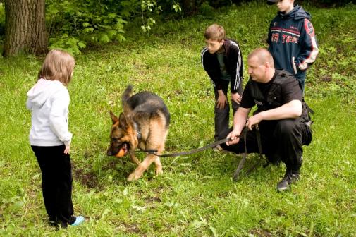 image115_t1.jpg
