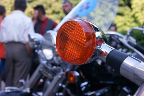 DSC07808_t1.jpg
